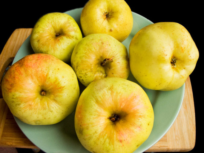 Чайная беседка