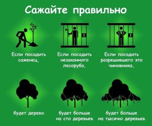 сажайте деревья