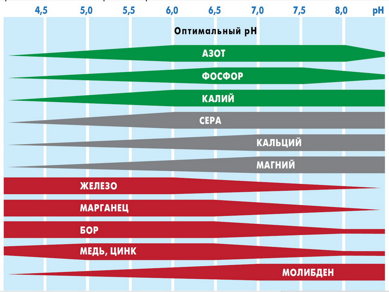 влияние кислотности почвы на развитие растения