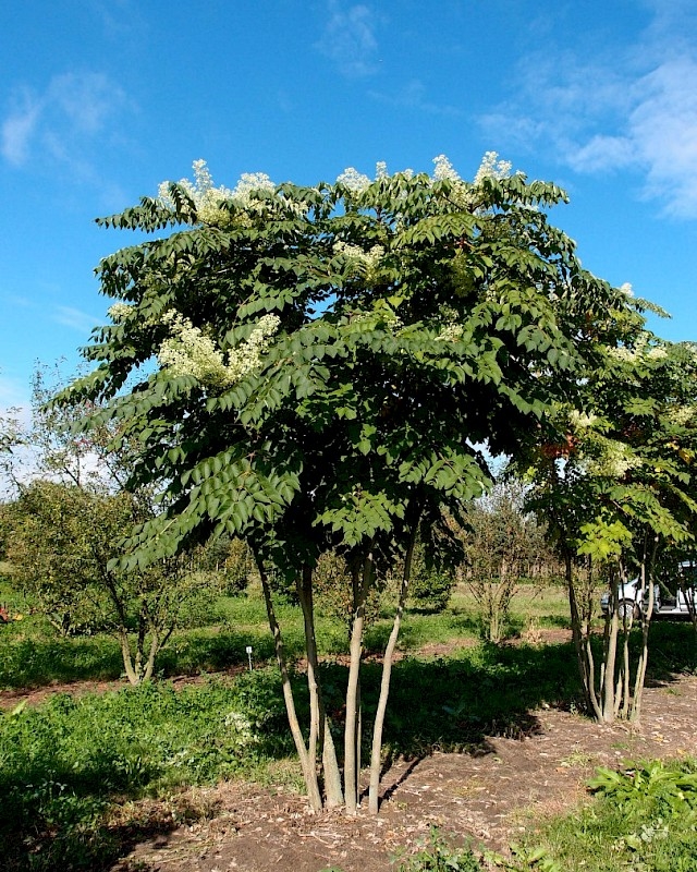 3-512