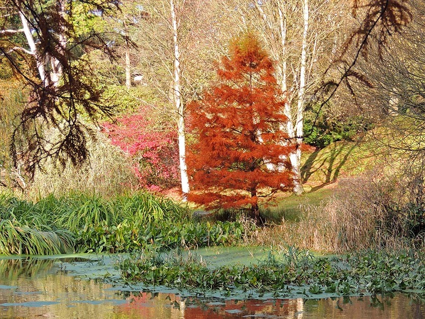 3e07c573353f9546342f0f54ca4f3f86