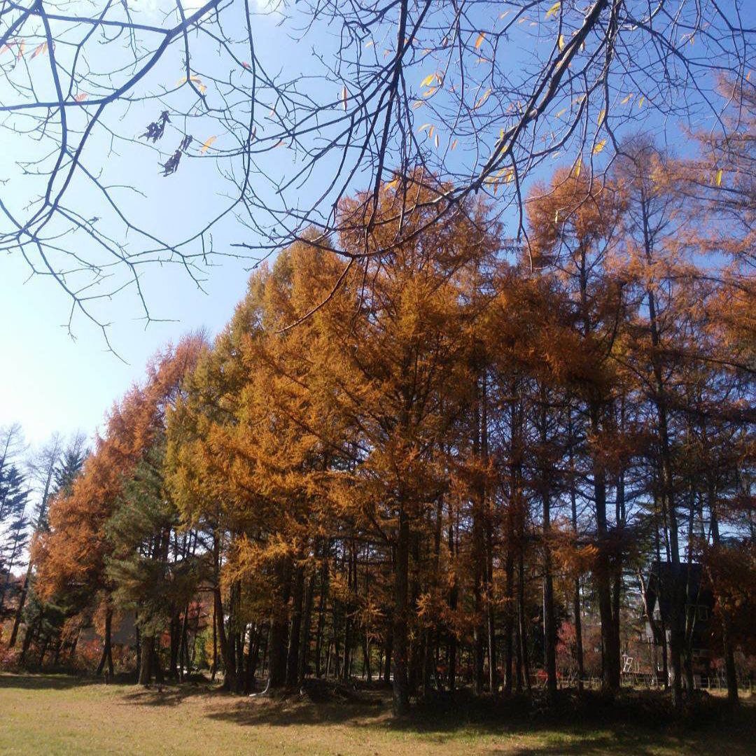 photo_2023-04-21 23.29.16