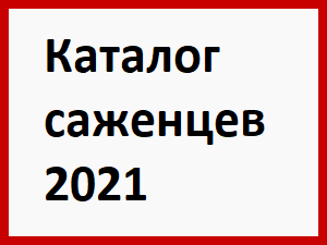 Агромаркет Купить Саженцы Каталог На 2025 Год