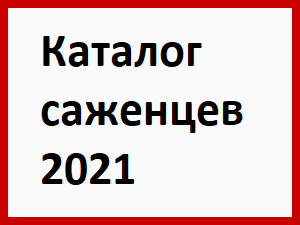 Питомник никольское цены. Плодопитомник Никольское. Питомник Никольское Белгород. Питомник Никольское каталог. Питомник Никольское Белгородской области.