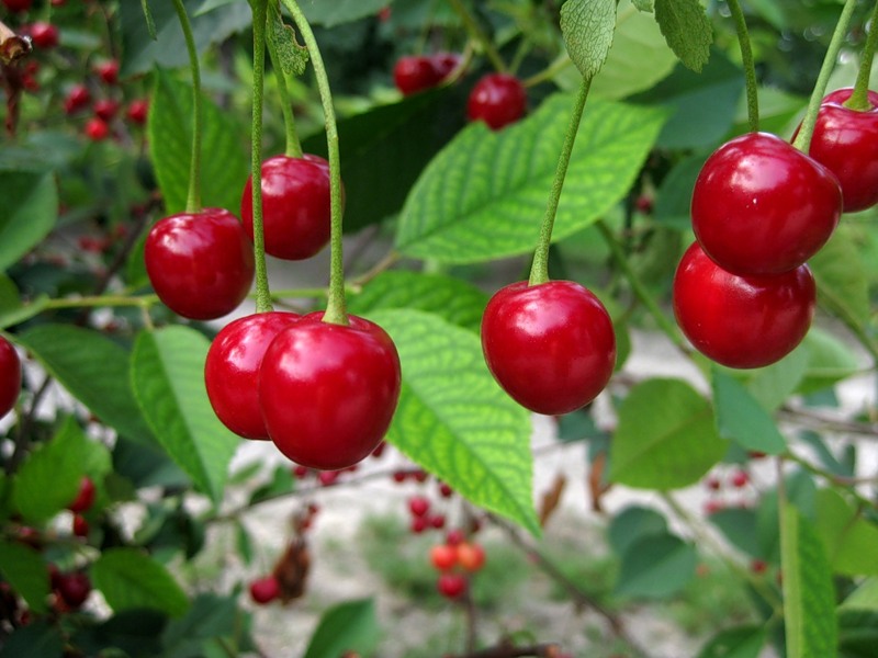 dk9q9xosqlhql3fc7x0gyhgbkgo2oioy