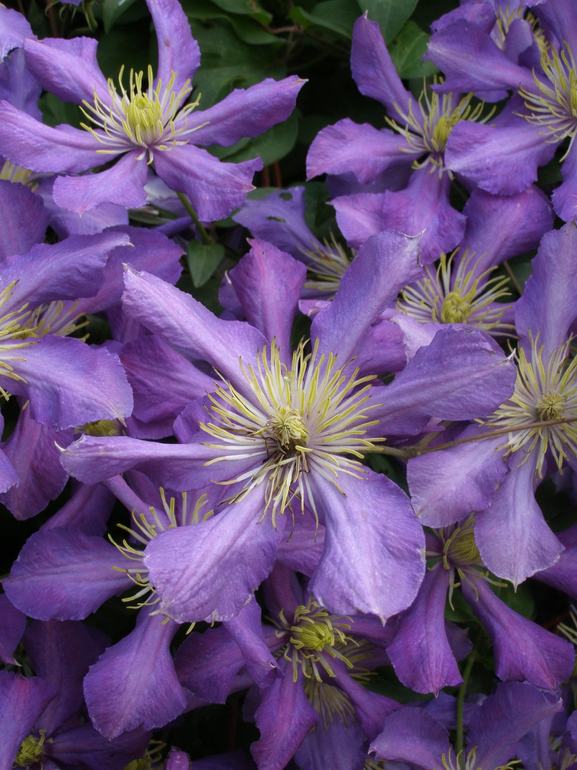 42e9d34df2a74854949d08e328f34c6c