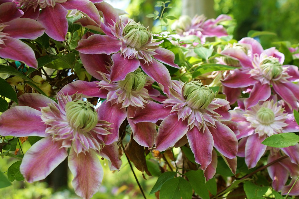 5720037893_6506c01db8_b