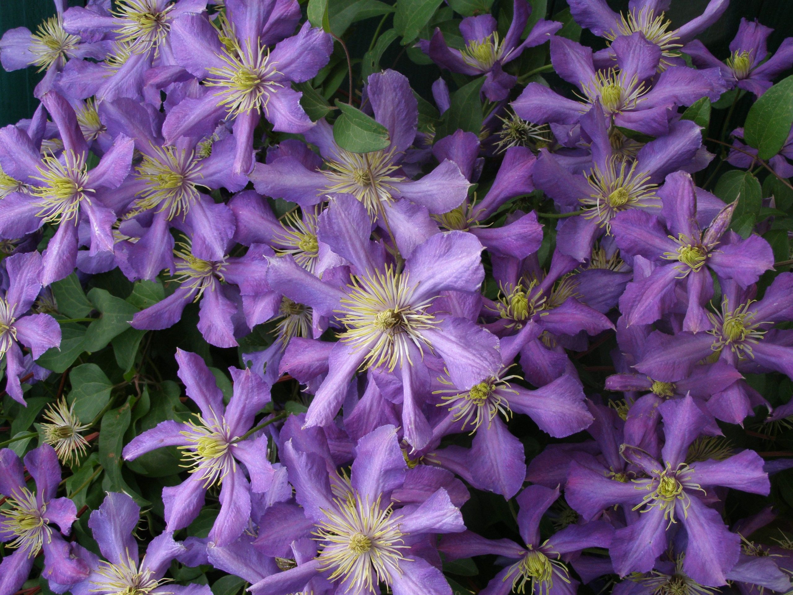 edd0df7ae748fa9ac87d6c2cd183790a