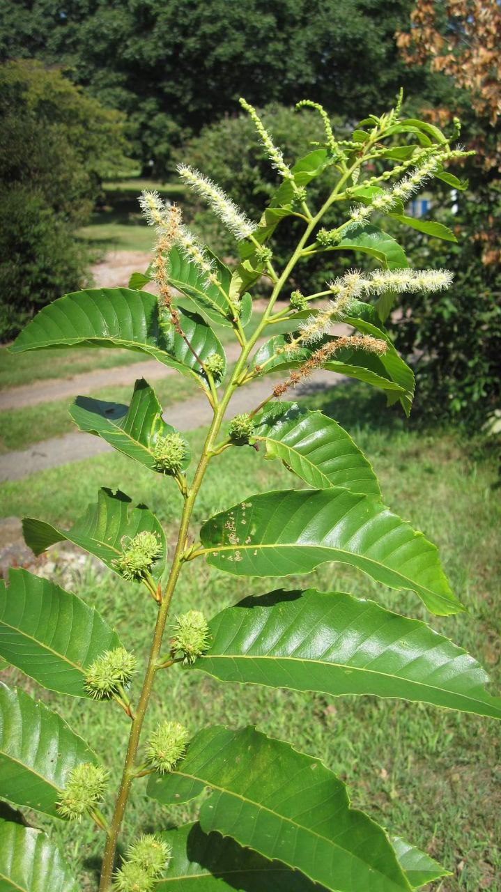 photo_2024-02-15 00.34.00