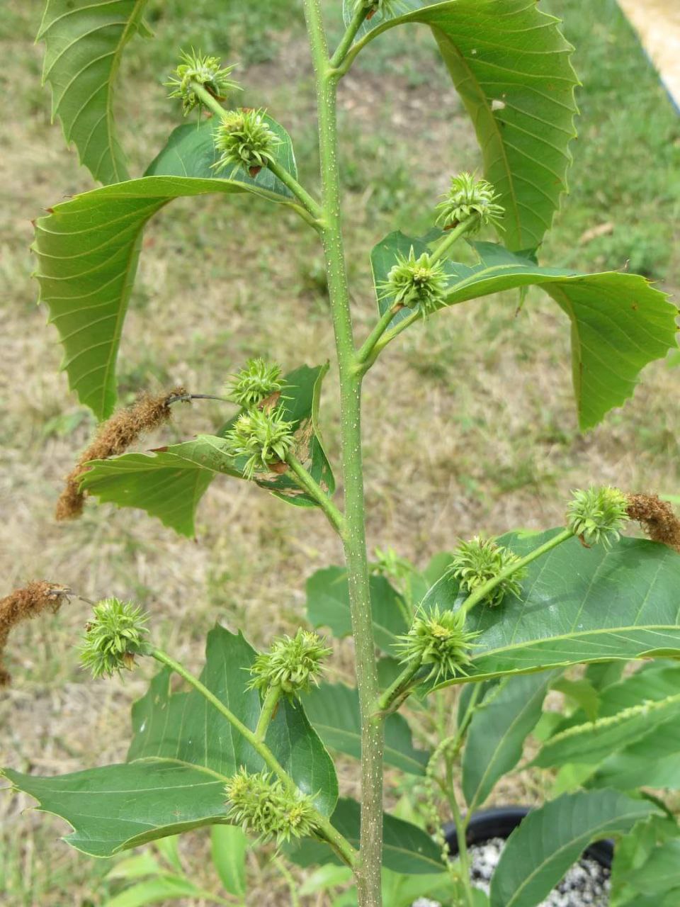 photo_2024-02-15 00.34.01