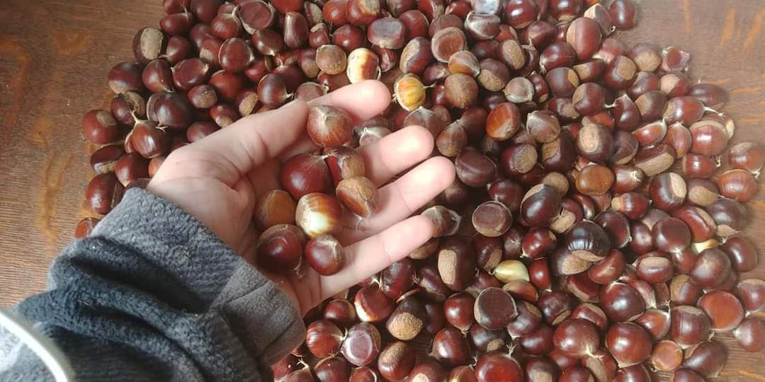 photo_2024-02-15 00.34.03