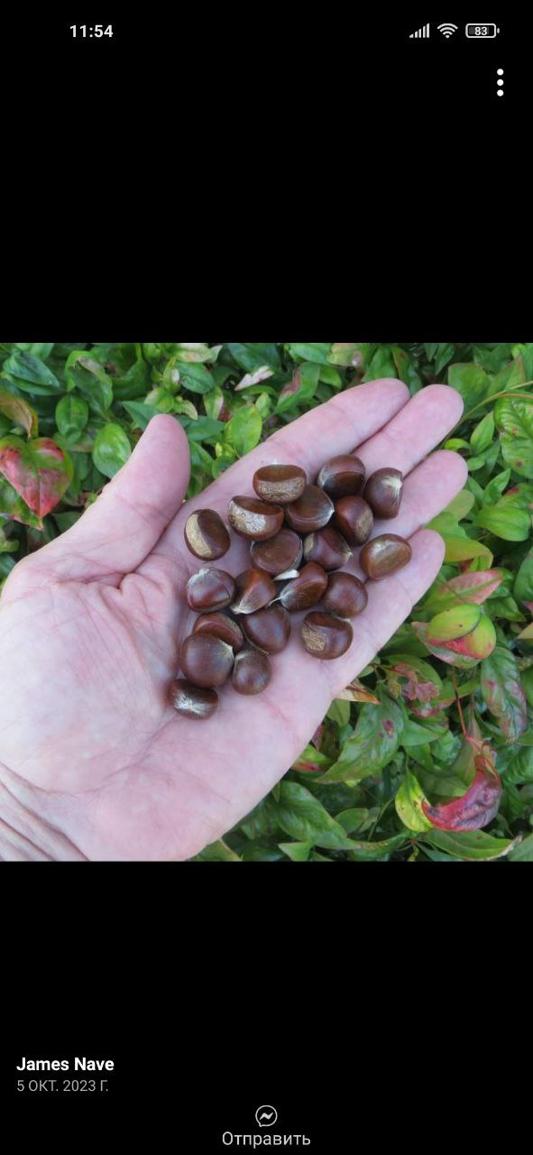 photo_2024-02-15 00.34.06