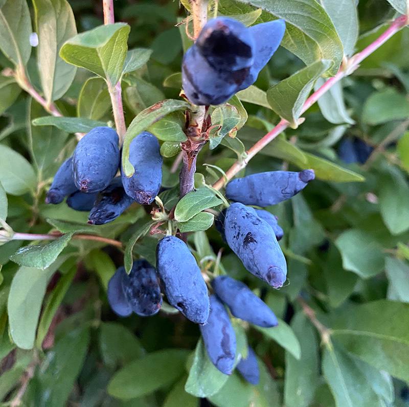 photo_2025-01-16 23.39.33